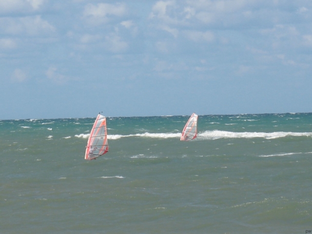  Cursos de windsurf 